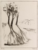 Artist: b'Cooke, Warren.' | Title: b'not titled [trees on embankment]' | Date: 2001, 27 July | Technique: b'lithograph, printed in black ink, from one stone'