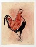 Artist: b'Grieve, Robert.' | Title: b'Rooster' | Date: 1953 | Technique: b'lithograph, printed in colour, from two zinc plates'