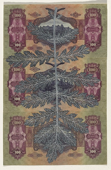 Artist: HALL, Fiona | Title: Tanacetum macrophyllum (Hungarian currency) | Date: 2000 - 2002 | Technique: gouache | Copyright: © Fiona Hall