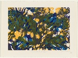 Artist: b'Churcher, Roy.' | Title: b'Coast edge.' | Date: 1988 | Technique: b'linocut, printed in colour, from mutliple blocks'