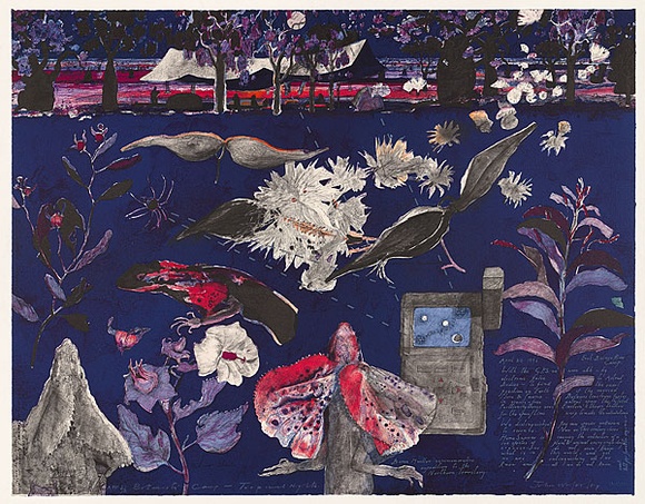 Artist: b'Wolseley, John.' | Title: bBotanist's camp - tropical nights | Date: 1997, May - July | Technique: b'lithograph, printed in black ink, from stone; hand-coloured' | Copyright: b'\xc2\xa9 John Wolseley. Licensed by VISCOPY, Australia'