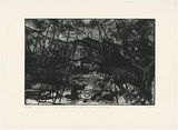 Artist: Thirkell, Christine. | Title: Random destructions leading to order found within the landscape | Date: 1992, June | Technique: etching and drypoint, printed in black ink, from one plate