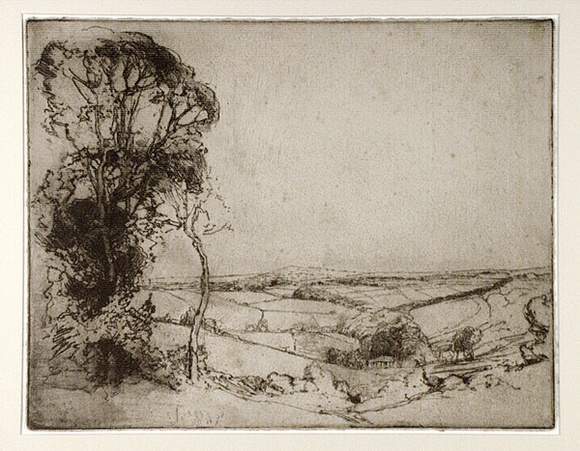 Artist: b'LONG, Sydney' | Title: b'Pastoral landscape' | Date: 1928, after | Technique: b'line-etching, drypoint, foul biting printed in black ink from one plate' | Copyright: b'Reproduced with the kind permission of the Ophthalmic Research Institute of Australia'