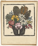 Artist: b'PRESTON, Margaret' | Title: b'Flannel flowers.' | Date: 1928 | Technique: b'woodcut, printed in black ink, from one block; hand-coloured' | Copyright: b'\xc2\xa9 Margaret Preston. Licensed by VISCOPY, Australia'