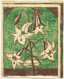Artist: b'Syme, Eveline' | Title: b'Filipino lily' | Date: 1958 | Technique: b'linocut, printed in colour, from two blocks (terra verte, burnt sienna)'