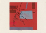 Artist: b'MEYER, Bill' | Title: b'Red mapscape' | Date: 1969 | Technique: b'linocut and woodcut, printed in six colours, from multiple blocks' | Copyright: b'\xc2\xa9 Bill Meyer'