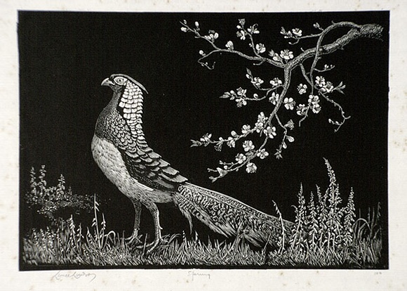 Artist: b'LINDSAY, Lionel' | Title: b'Spring' | Date: 1936 | Technique: b'wood-engraving, printed in black ink, from one block' | Copyright: b'Courtesy of the National Library of Australia'