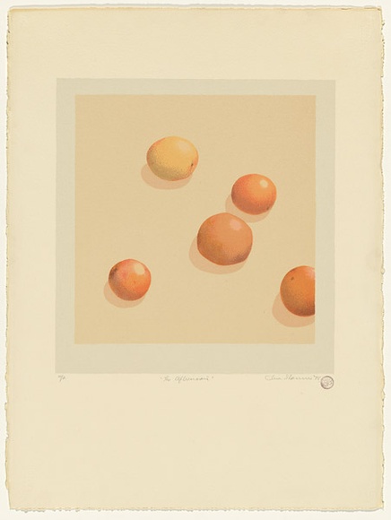 Artist: b'Storrier, Tim.' | Title: b'The afternoon.' | Date: 1978 | Technique: b'screenprint, printed in colour, from nine stencils'