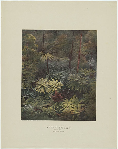 Artist: b'Phillip-Stephan Photo-Litho. and Typographic Process Co. Ltd.' | Title: b'Fairy scene. Black Spur. Australia.' | Date: (c.1887) | Technique: b'photo-lithograph, printed in colour, from multiple stones'