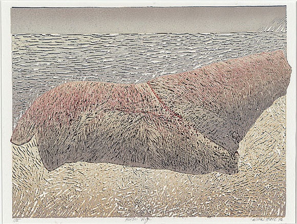 Artist: b'Hall, Rita' | Title: b'Horse rug' | Date: 1996 | Technique: b'linocut, printed in colour, from multiple blocks' | Copyright: b'\xc2\xa9 Rita Hall'