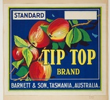 Artist: b'Burdett, Frank.' | Title: b'Label: Tip Top apples.' | Date: 1931 | Technique: b'lithograph, printed in colour, from multiple stones [or plates]'