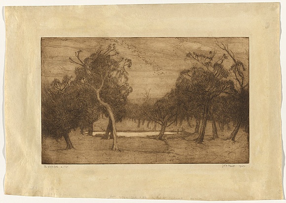 Artist: TRAILL, Jessie | Title: The waterhole | Date: 1922 | Technique: etching, printed in brown ink with plate-tone and wiped highlights, from one plate