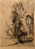 Artist: b'LONG, Sydney' | Title: b'Brisbane water' | Date: 1925 | Technique: b'line-etching, printed in brown ink, from one copper plate' | Copyright: b'Reproduced with the kind permission of the Ophthalmic Research Institute of Australia'