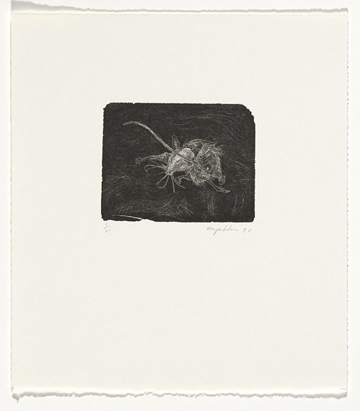 Artist: b'Myshkin, Tanya.' | Title: b'Dried mouse' | Date: 1990 | Technique: b'wood-engraving, printed in black ink, from one boxwood block'