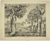 Artist: b'LINDSAY, Lionel' | Title: b'Bottle trees, Cracow, Queensland' | Date: 1932 | Technique: b'etching, printed in warm black ink, from one plate' | Copyright: b'Courtesy of the National Library of Australia'