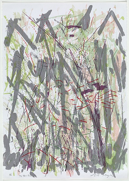 Artist: b'MEYER, Bill' | Title: b'Grey box bush' | Date: 1988 | Technique: b'photo-screenprint, printed in colour, from multiple stencils' | Copyright: b'\xc2\xa9 Bill Meyer'