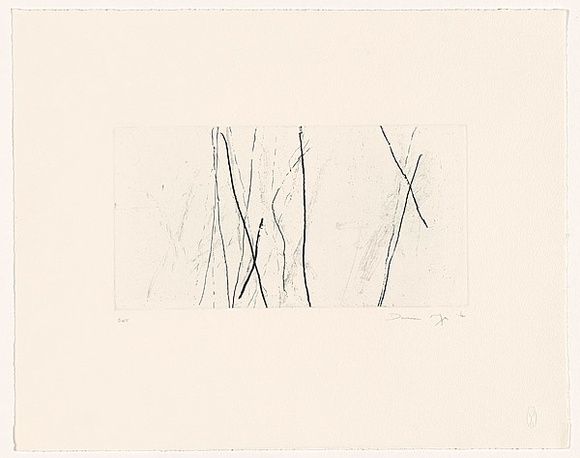 Artist: b'MOSS, Damian' | Title: b'Trees 1' | Date: 2004 | Technique: b'etching, printed in black ink, from one plate'