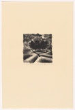 Artist: Headlam, Kristin. | Title: A gardener at midnight II | Date: 1994 | Technique: lithograph, printed in black ink, from one stone