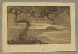 Artist: Coleman, Constance. | Title: (Misty tree and bay). | Date: c.1944 | Technique: aquatint and etching, printed in brown ink with plate-tone with wiped highlights, from one plate