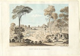 Title: b'Forest Creek, Mt Alexander.' | Date: 1852 | Technique: b'lithograph, printed in colour, from two stones'