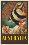 Artist: b'Mayo, Eileen.' | Title: b'Australia (The Great Barrier Reef)' | Date: (1959) | Technique: b'lithograph, printed in colour, from multiple stones'