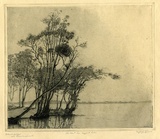 Title: The bent tree, Tuggerah Lake | Date: c.1925 | Technique: etching, printed in black ink, from one plate