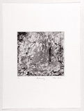 Artist: b'Nielsen, Ellie.' | Title: b'Hideaway.' | Date: 1988 | Technique: b'etching, printed in black ink, from one plate'