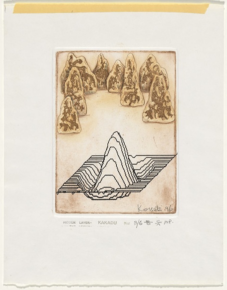 Title: b'Hidden layer - Kakadu' | Date: 1996 | Technique: b'etching and embossing, printed in black and brown ink, from two plates'