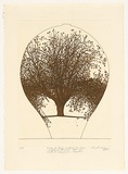 Artist: b'ROSE, David' | Title: b'Study for large mulberry tree vase' | Date: 1980 | Technique: b'etching and aquatint, printed in black ink, from one plate'