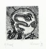 Artist: b'SHEARER, Mitzi' | Title: b'not titled' | Date: 1991 | Technique: b'etching, printed in black ink with plate-tone, from one plate'