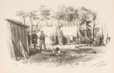 Artist: GILL, S.T. | Title: Diggers licensing, Forrest Creek. | Date: 1852 | Technique: lithograph, printed in black ink, from one stone