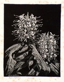 Artist: LINDSAY, Lionel | Title: Ginger | Date: 1939 | Technique: wood-engraving, printed in black ink, from one block | Copyright: Courtesy of the National Library of Australia