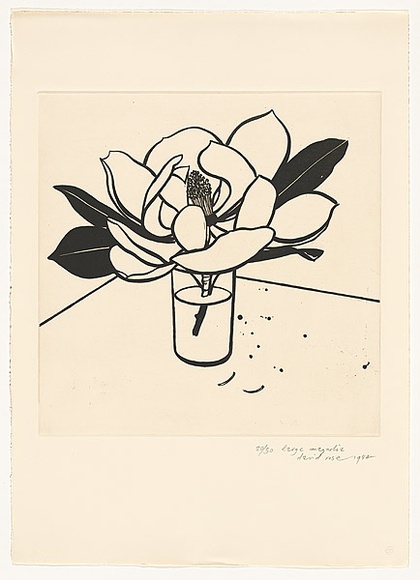 Artist: b'ROSE, David' | Title: b'Large magnolia' | Date: 1984 | Technique: b'aquatint, printed in black ink, from one plate'