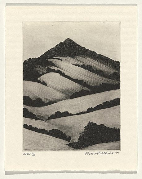 Artist: b'Atkins, Ros.' | Title: b'Still' | Date: 1999, November | Technique: b'etching and engraving, printed in black ink with plate-tone, from one plate'