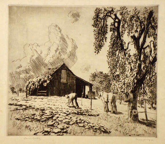 Artist: LINDSAY, Lionel | Title: The pumpkin patch, Windsor | Date: 1921 | Technique: drypoint, printed in brown ink with plate-tone, from one plate | Copyright: Courtesy of the National Library of Australia