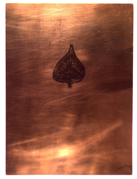 Artist: b'Coppola, Filomena.' | Title: b'Nubile' | Date: 1994 - 1995 | Technique: b'etching and aquatint, intaglio inked in black, on one copper plate; dipped in lacquer'