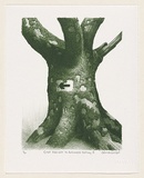 Title: Great moments in Arboreal history II. | Date: 1999 | Technique: lithograph, printed in green ink, from one plate