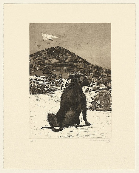 Artist: b'Harding, Nicholas.' | Title: b'not titled [dog on beach]' | Date: 2005 | Technique: b'aquatint, sugar-lift and open-bite, printed in black/brown ink, from one plate'