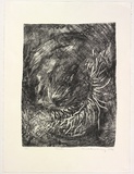 Artist: Courtney, Anne. | Title: Mask. | Date: 1994 | Technique: lithograph, printed in black ink, from one stone