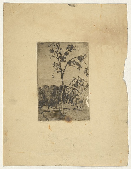 Artist: b'PERCY, W.S.' | Title: b'not titled [Tree and steps]' | Date: c.1920 | Technique: b'etching, printed in black ink, from one plate'