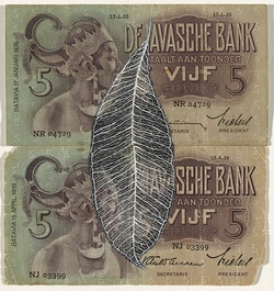 Artist: Hall, Fiona. | Title: Syzygium aromaticum - Clove (Dutch East Indies currency) | Date: 2000 - 2002 | Technique: gouache | Copyright: © Fiona Hall
