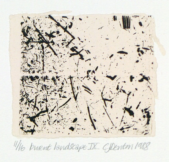 Artist: b'Denton, Chris' | Title: b'Burnt landscape IX.' | Date: 1988 | Technique: b'etching, printed in black ink, from one plate' | Copyright: b'Courtesy of the artist'