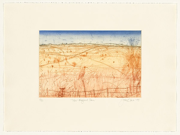 Artist: b'Olsen, John.' | Title: b'New England poem' | Date: 1995 | Technique: b'soft ground etching and aquatint, printed in colour a la poup\xc3\xa9e, from one plate'