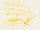 Title: b'Settevoltecieco (yellow)' | Date: 2010 | Technique: b'lithograph, printed in yellow ink, from one stone/plate; hand-coloured'