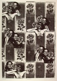 Artist: Walters, Kath. | Title: Wall flower | Date: 1989 | Technique: lithograph, printed in black ink, from one stone