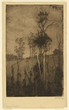 Artist: TRAILL, Jessie | Title: Evening, Emerald. | Date: 1911 | Technique: etching, drypoint and foul biting, printed in black ink with plate-tone and wiped highlights, from one plate