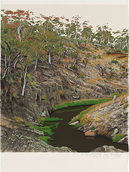 Artist: b'Rose, David.' | Title: b'At Iron Pot Creek near Jindabyne' | Date: 1993 | Technique: b'screenprint, printed in colour, from multiple stencils'