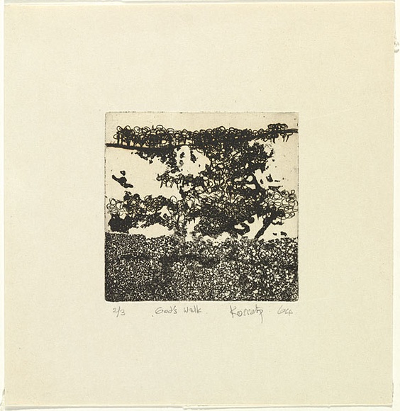 Title: bGod's walk | Date: 1964 | Technique: b'etching and aquatint, printed in black ink with plate-tone, from one plate'