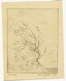 Artist: McCulloch, Alan. | Title: Sea breezes | Date: c.1937 | Technique: etching printed in brown ink with pencil
