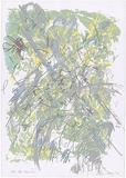 Artist: b'MEYER, Bill' | Title: b'Bush study silver' | Date: 1987 | Technique: b'screenprint, printed in colour, from multiple stencils' | Copyright: b'\xc2\xa9 Bill Meyer'